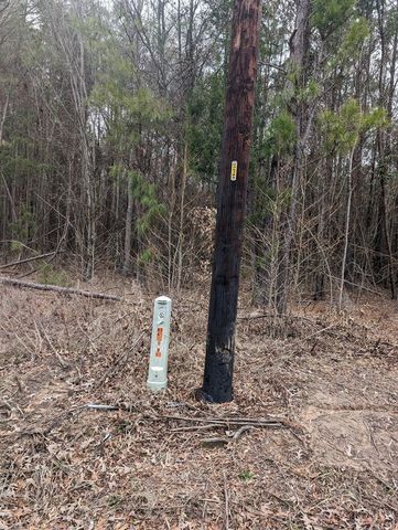 0 County Road 3460, Hawkins, TX 75765