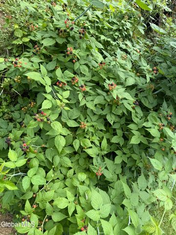 663 Sacandaga Road, Glenville, NY 12302