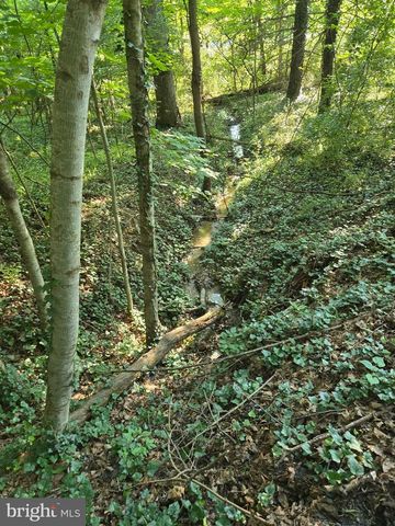 769 S WATER ST, Woodstock, VA 22664