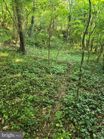 769 S WATER ST, Woodstock, VA 22664