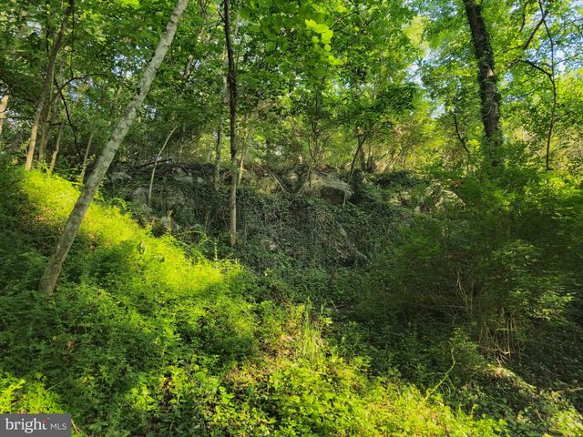 769 S WATER ST, Woodstock, VA 22664