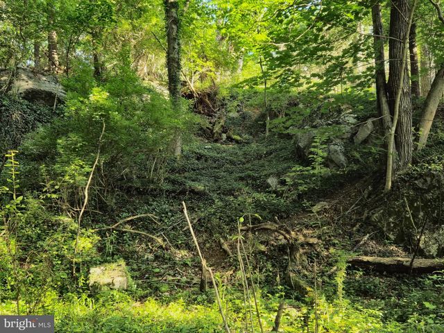 769 S WATER ST, Woodstock, VA 22664