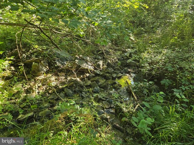 769 S WATER ST, Woodstock, VA 22664