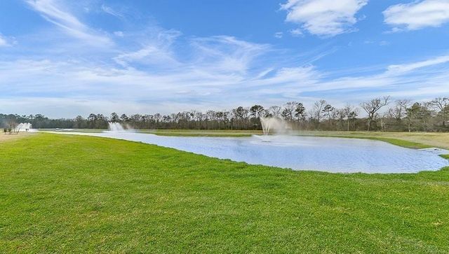 21328 Pine Mill Drive, New Caney, TX 77357