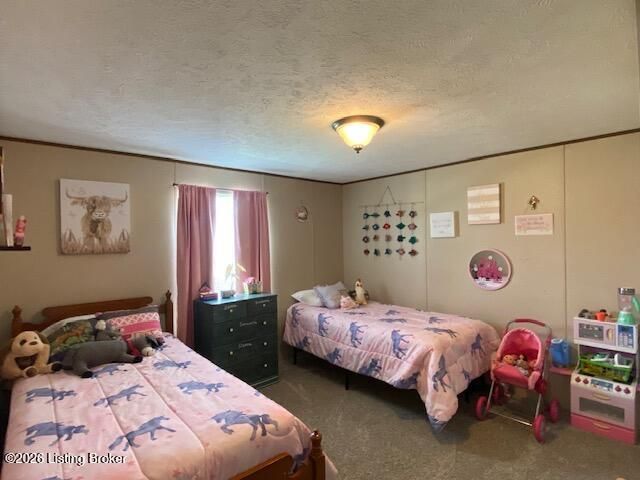 1410 Cedar Grove Rd, Coxs Creek, KY 40013