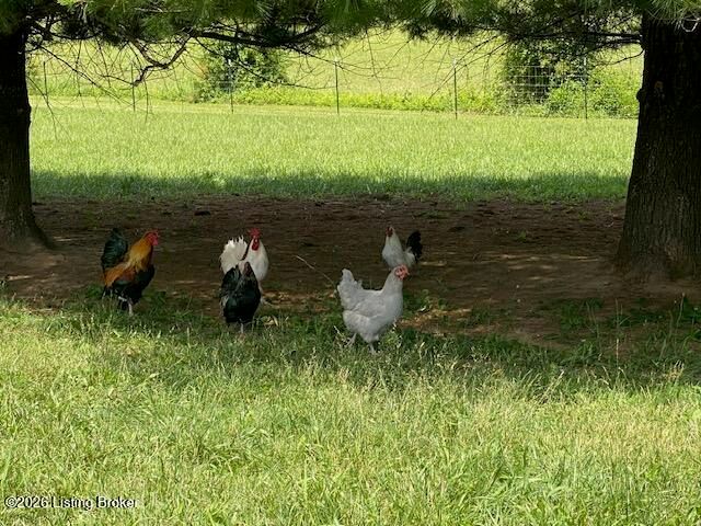 1410 Cedar Grove Rd, Coxs Creek, KY 40013