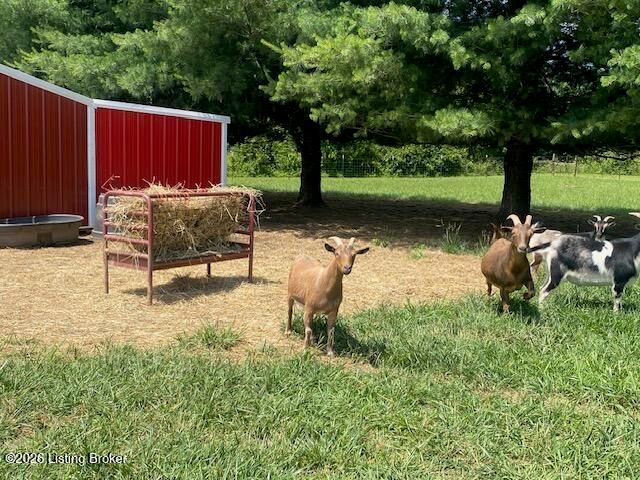 1410 Cedar Grove Rd, Coxs Creek, KY 40013
