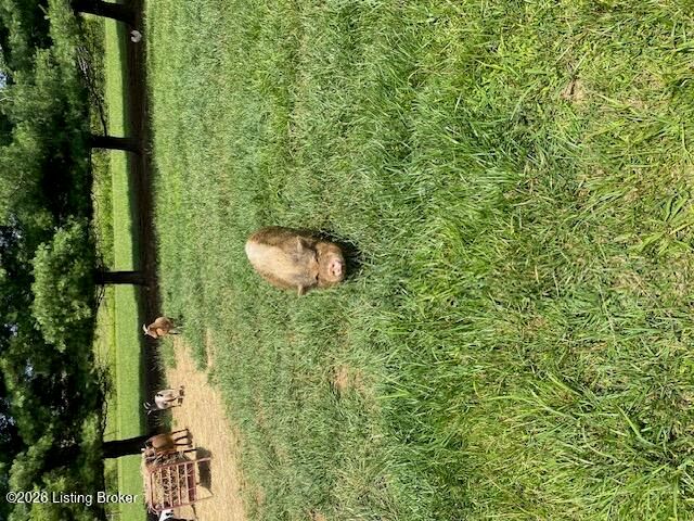 1410 Cedar Grove Rd, Coxs Creek, KY 40013