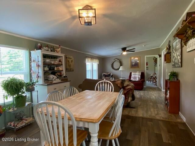 1410 Cedar Grove Rd, Coxs Creek, KY 40013