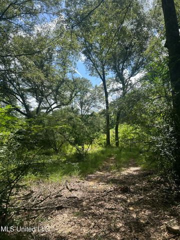 2002 Bala Chitto Road, Magnolia, MS 39652