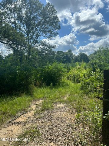 2002 Bala Chitto Road, Magnolia, MS 39652