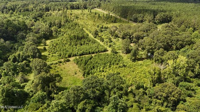 2002 Bala Chitto Road, Magnolia, MS 39652