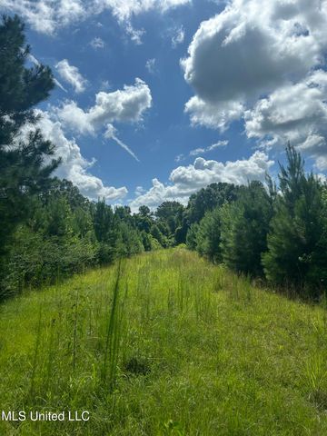 2002 Bala Chitto Road, Magnolia, MS 39652