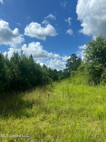 2002 Bala Chitto Road, Magnolia, MS 39652