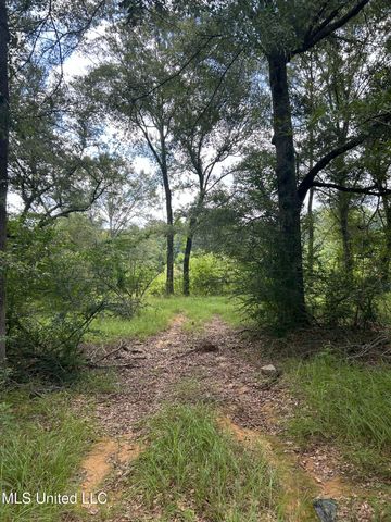 2002 Bala Chitto Road, Magnolia, MS 39652