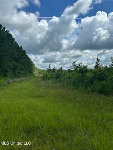 2002 Bala Chitto Road, Magnolia, MS 39652