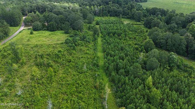 2002 Bala Chitto Road, Magnolia, MS 39652