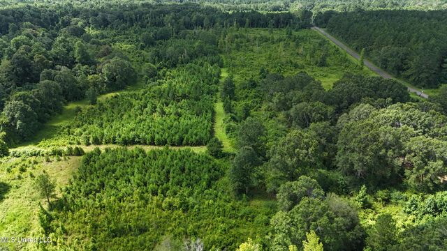 2002 Bala Chitto Road, Magnolia, MS 39652