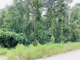 0 NE 756 STREET, Old Town, FL 32680