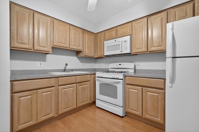 6670 S BRAINARD Avenue 209, Countryside, IL 60525