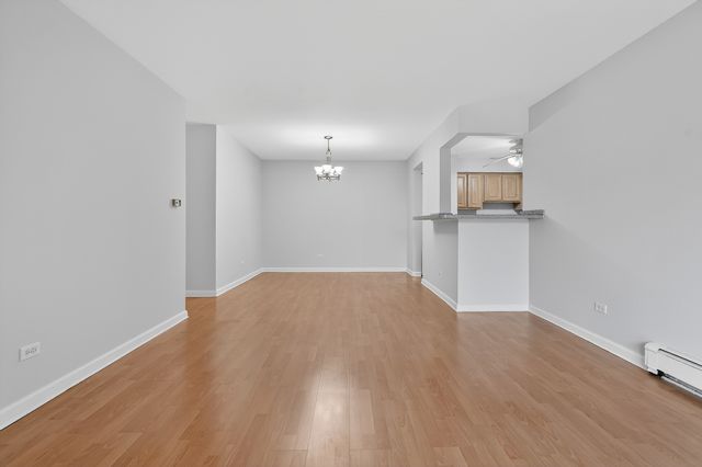 6670 S BRAINARD Avenue 209, Countryside, IL 60525