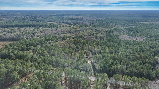 2884 GA Hwy. 251 Other, Townsend, GA 31331