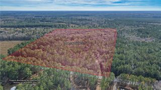 2884 GA Hwy. 251 Other, Townsend, GA 31331