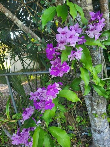 2027 Maravilla CIR, Fort Myers, FL 33901