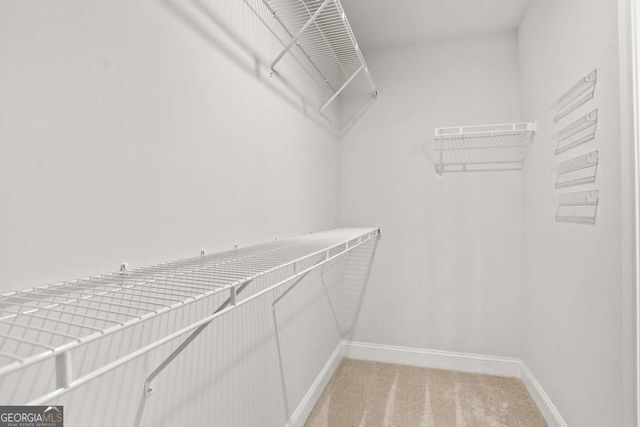 179 Mandeville Drive, Richmond Hill, GA 31324