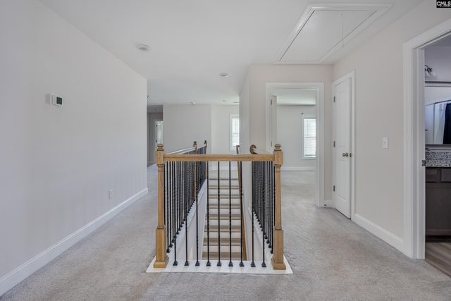 825 Hidden Point Drive, Columbia, SC 29229