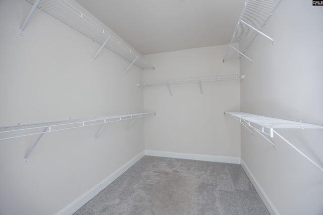 825 Hidden Point Drive, Columbia, SC 29229