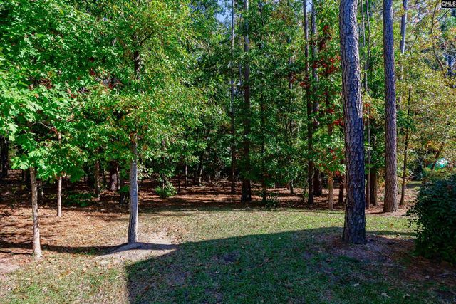 825 Hidden Point Drive, Columbia, SC 29229