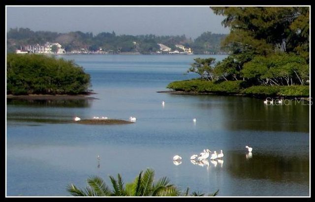 1697 BROOKHOUSE CIRCLE 116, Sarasota, FL 34231