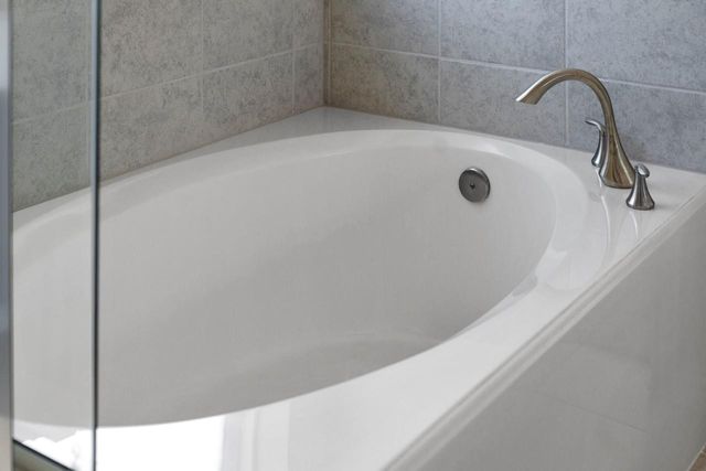 10003 Whitney Reach Drive, Rosharon, TX 77583