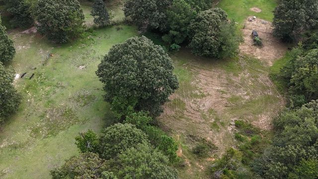 5298 Henderson Road, Hephzibah, GA 30815