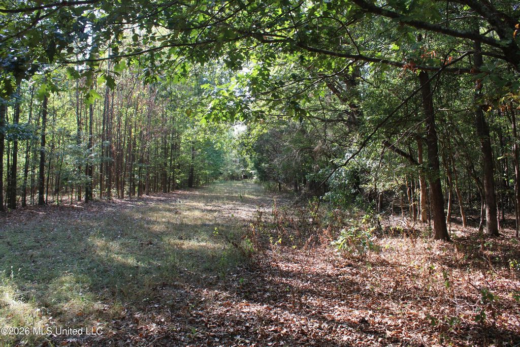 16 Tulane Road, Nesbit, MS 38651 — exterior
