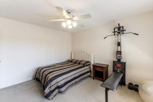 17718 Dove Tree Lane, Spring, TX 77379
