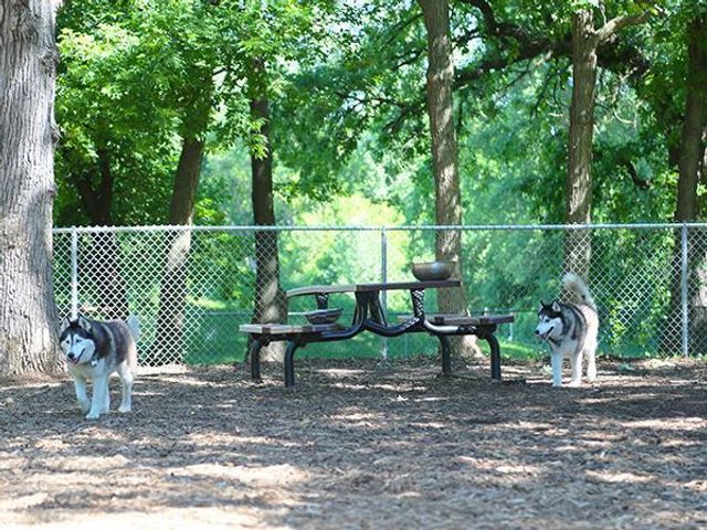 4253 Brookside Avenue, Saint Louis Park, MN 55416