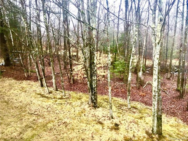 42 Krier Lane, Kiamesha Lake, NY 12751