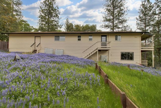 12615 Hilltop Ct, Pine Grove, CA 95665