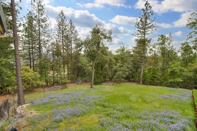 12615 Hilltop Ct, Pine Grove, CA 95665