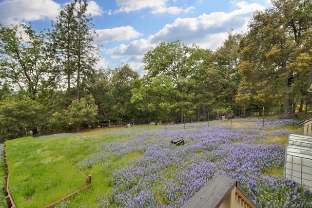 12615 Hilltop Ct, Pine Grove, CA 95665