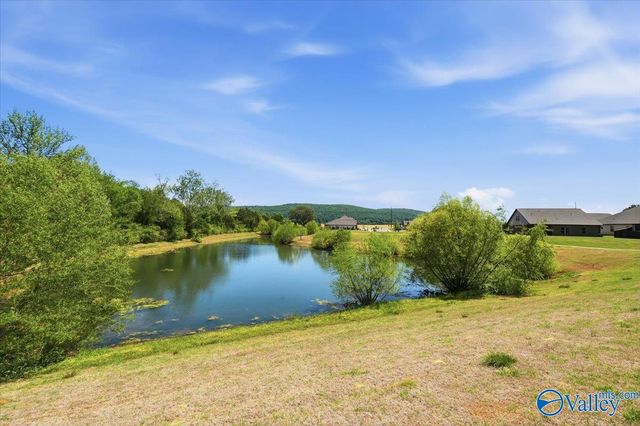 126 Edmund Circle, New Market, AL 35761