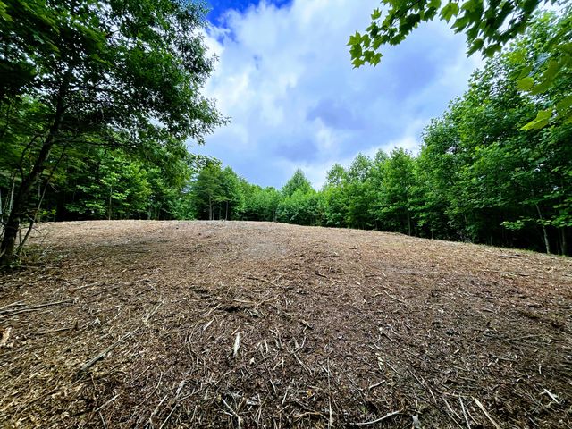 0 Walden Drive 26, Signal Mountain, TN 37377