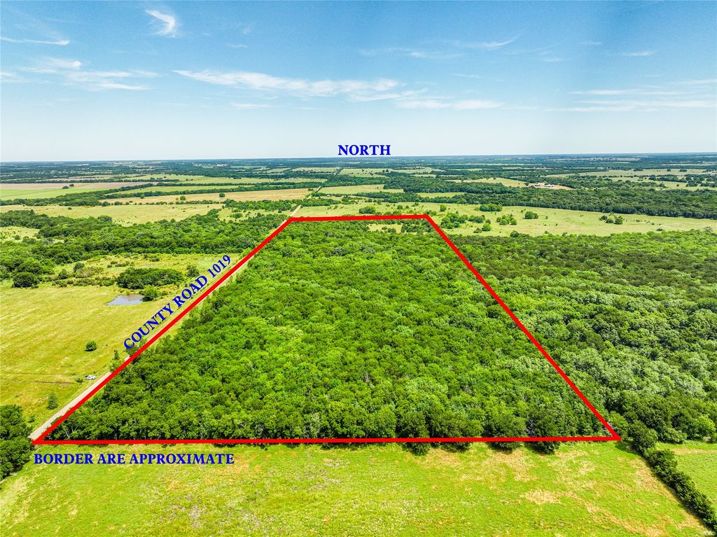 0000 County Road 1019, Celeste, TX 75423