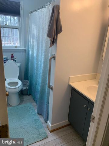 141 MECHUNK CREEK DR, Troy, VA 22974