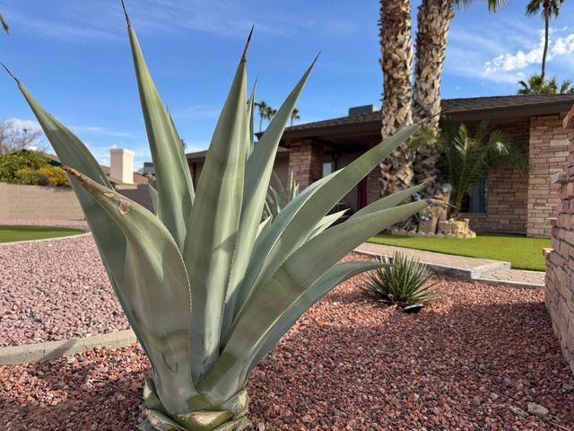 11035 N 32nd Street, Phoenix, AZ 85028