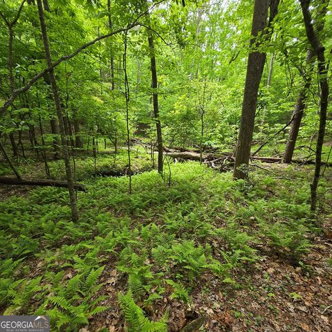 3.5ACRE Dusty Trail, Morganton, GA 30560