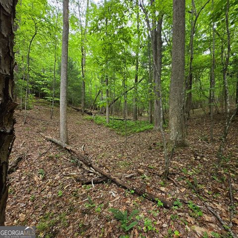 3.5ACRE Dusty Trail, Morganton, GA 30560