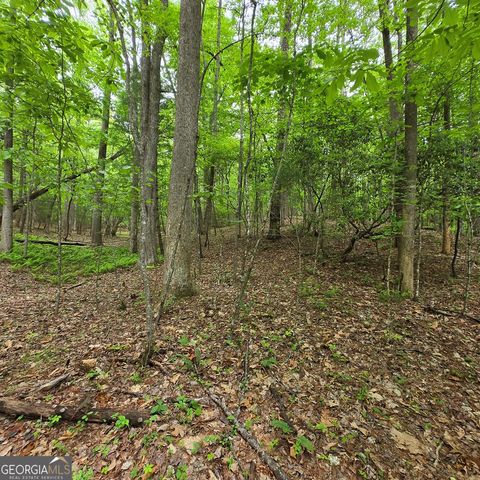 3.5ACRE Dusty Trail, Morganton, GA 30560
